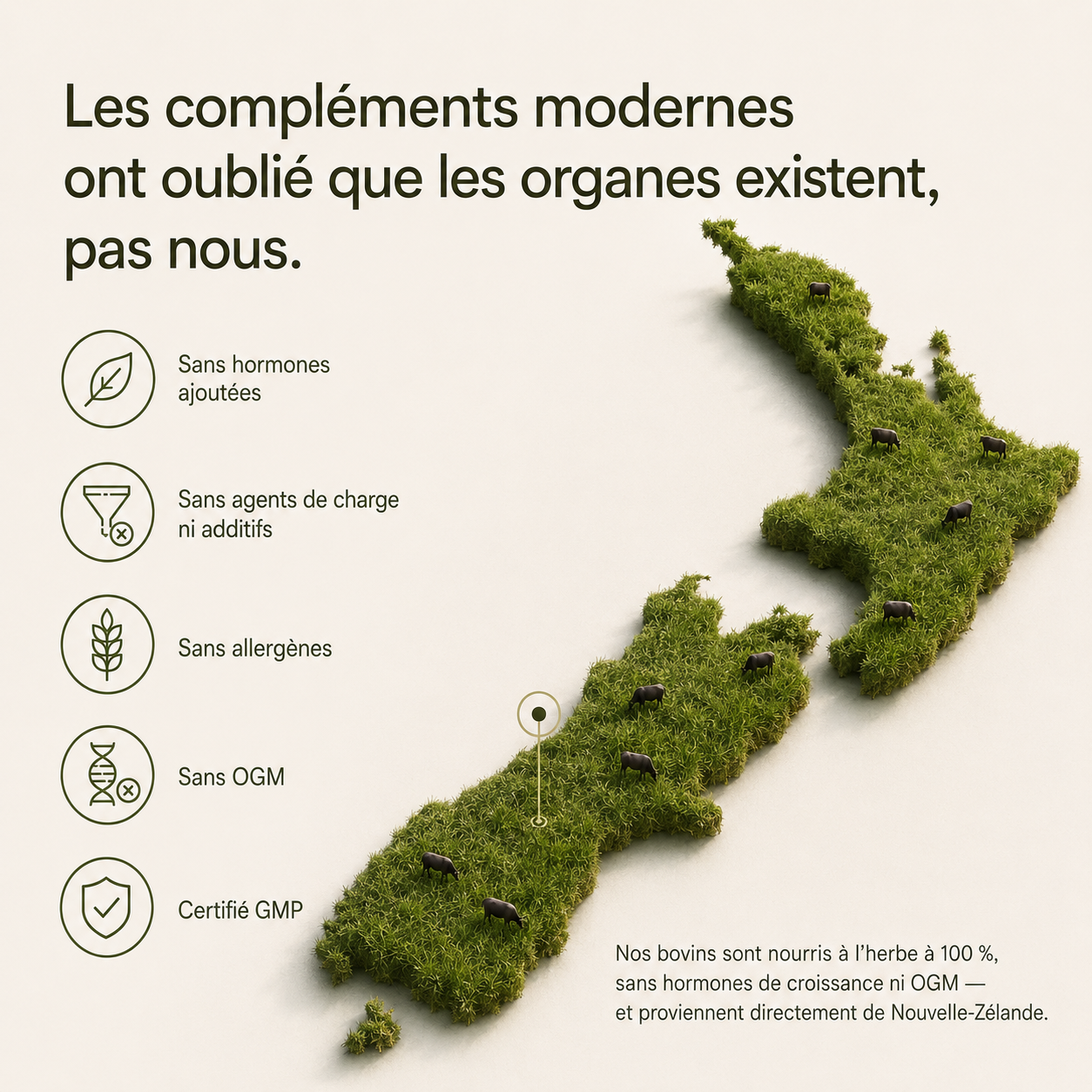 Complexe d'Organes de Boeuf
