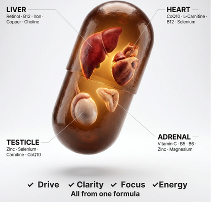 Core Male Essentials Formula
